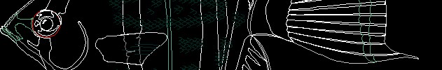 Download Free DWG files